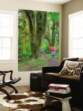 Hall of Mosses  Hoh Rain Forest  Olympic National Park  Washington  USA