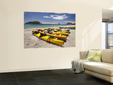 Kayaks on Beach  Hahei  Coromandel Peninsula  North Island  New Zealand