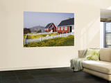 Kolonihavn Buildings and Flower Meadows