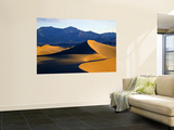 Sand Dunes in Mesquite Flat  Death Valley National Park  California  USA