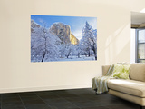 Sunrise Light Hits El Capitan Through Snowy Trees in Yosemite National Park  California  USA
