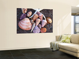 Seashells Along the Gulf of California  Loresto  Mexico