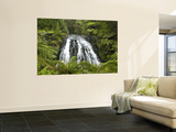 Owharoa Falls  Karangahake Gorge  Waikato  North Island  New Zealand