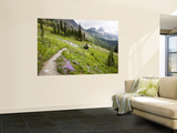 Highline Trail To Granite Park Chalet  Glacier National Park  Montana  USA