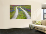 Tracks Leading Through a Wildflower Field  Texas  USA