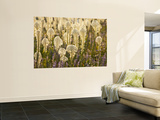 Beargrass and Lupine Backlit on the Slopes at Whitefish Mountain Resort  Whitefish  Montana  USA