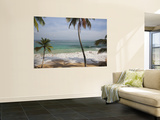 Playa Preciosa Beach  Abreu  North Coast  Dominican Republic