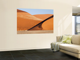Abstract of Sand Dunes  Sossusvlei  Namibia  Africa