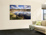 Cape Cod Wetlands  Massachusetts  USA