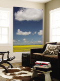Canola Fields and Clouds in the Canadian Prairies