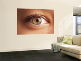Close-Up of Eye