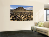 Orange River  Ai-Ais Richtersveld Transfrontier Park  Namaqualand