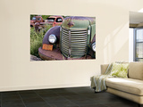 Rusted Pick-Up Trucks