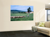 Zemplen Hills Sheep and Shepherd