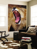 Lion Yawns in Moremi Wildlife Reserve