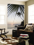 Coconut Tree Sunset Silhouette at Pte Source D'Argent