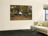 Greenwich Park in Autumn