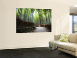 Bamboo Forest Walkway  Arashiyama District