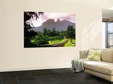 Road Through Lush Vegetation at Anahola with Mountain Backdrop
