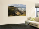 Overhead of Wild Coast