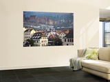Heidelberg Castle and Houses