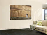 Dragon's Body and Wooden Teak Wall