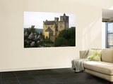Chateau of Beynac with Lilac Bush in Foreground