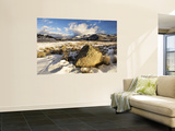 Winter in Lamar Valley