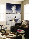Buffalo Skull and Old Faithful Geyser