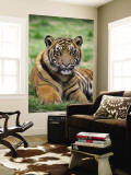 Young Tiger