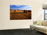 Mont St Michel across Field of Stubble