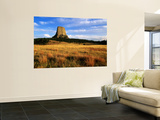 Devils Tower from Northwest