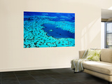 Aerial of Heart-Shaped Reef at Hardy Reef  Near Whitsunday Islands