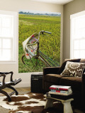 Bicycle and Coolie Hat in Ricefields on Outskirts of Hanoi