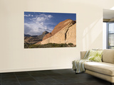 Desert Landscape