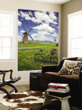 Lily Windmill with Stirling Ranges in Distance