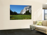 Yosemite Valley from Valley Floor