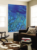 Aerial of Hardy Reef Offshore from Whitsundays Islands