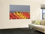 Orange and Red Rental Kayaks on Beach