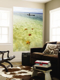 Sea Stars in Tropical Water at Star Beach