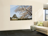 Himeji-Jo (Castle) and Blossoms