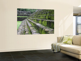 Detail of Moss Covered Stone Steps at Mayan Ruins of Quirigua