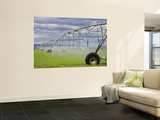 Agricultural Irrigation System in Moses Lake Region