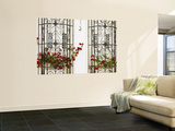 Windows of Colonial House