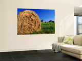 Hay Bales in Field