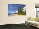 Twenty Mile Beach with Palm Trees