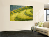 Black H'Mong Woman in Rice Field Terraces Near Tafen Village