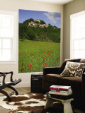 Poppies in Wheat Field with Caprese Michelangelo in Background