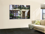 House Facade with Flowers in Lot Valley