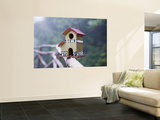 Bird House on Levada Do Furado Levada Walk